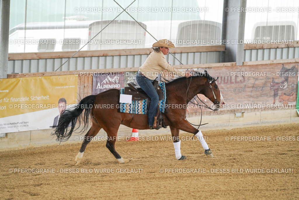 DSC07114 | Pferdegrafie