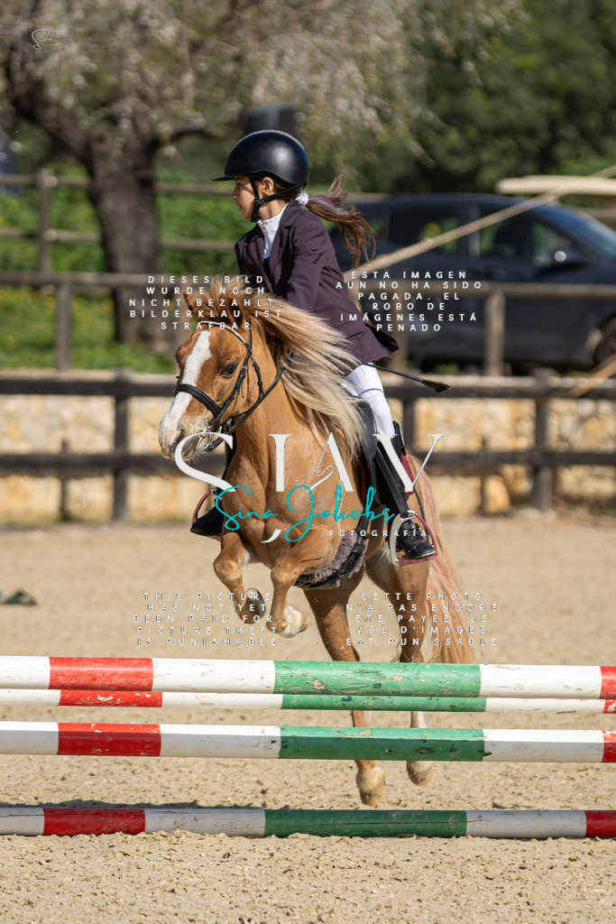 IMG_6032 | s-jay-photography - Realisiert mit Pictrs.com