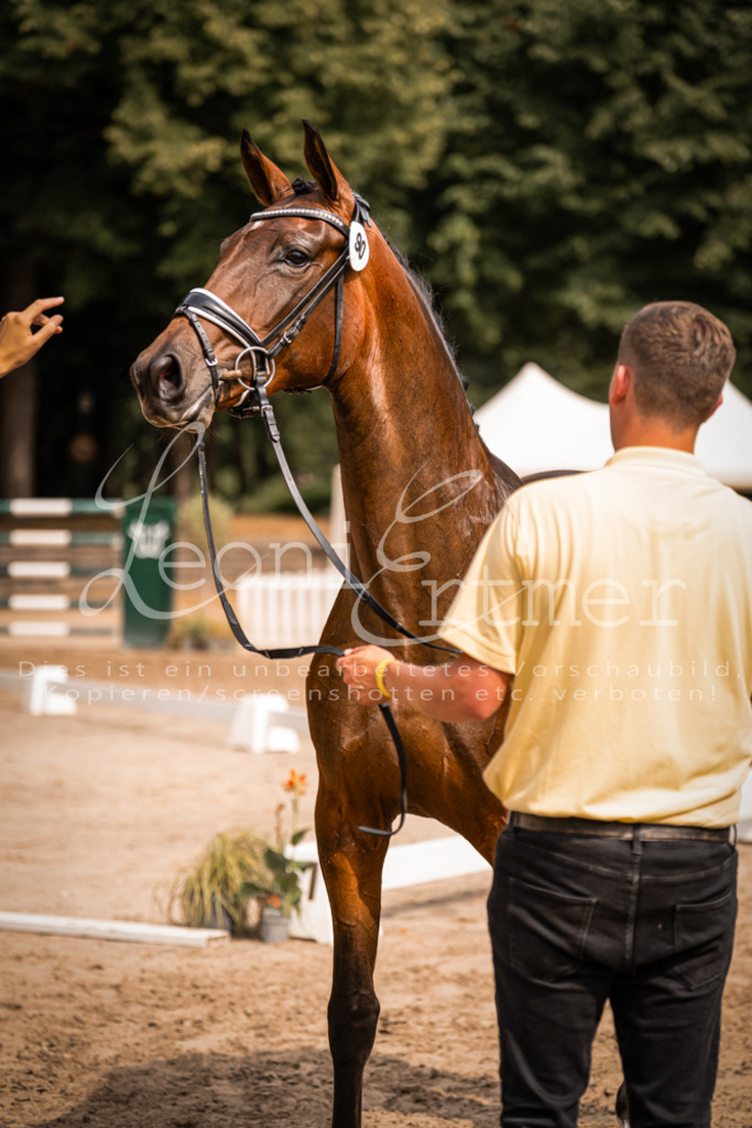 6.Fr00177 | Leoni Ertmer Photography - Realisiert mit Pictrs.com