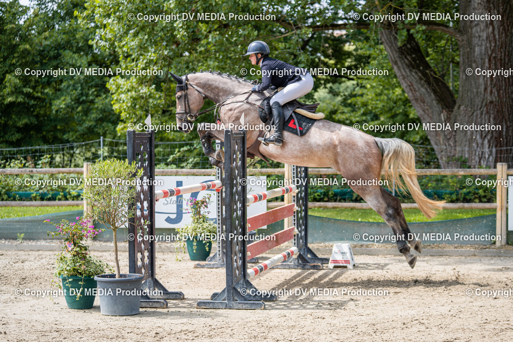 Hessische Tag 1-227 | dv-media-shop - Realisiert mit Pictrs.com