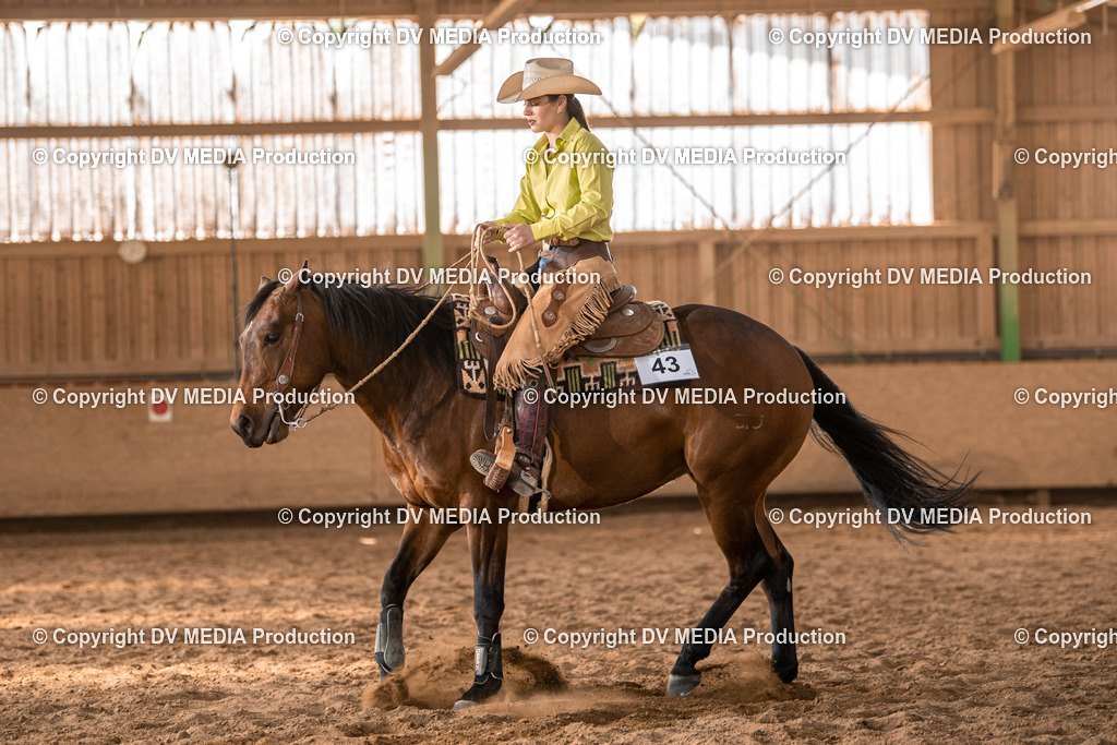 Balingen Tag 4-815 | dv-media-shop - Realisiert mit Pictrs.com