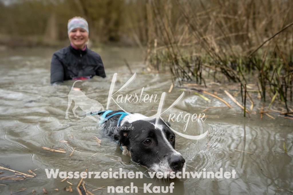 1258_ZZ93628 | kk-dogfotos
