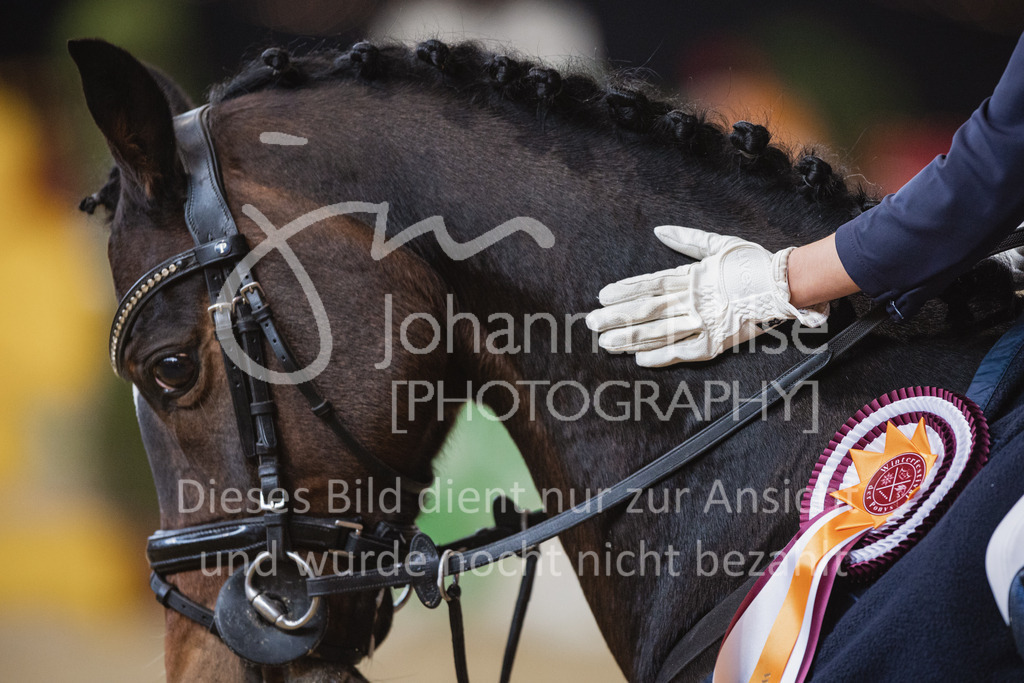 221127_Winterfestival_A-Spr-125 | Deine schönsten Turniermomente als professionelle Fotos! Entdecke hochwertige Pferdesport-Fotografie im Online-Shop. Jetzt Fotos finden & bestellen!