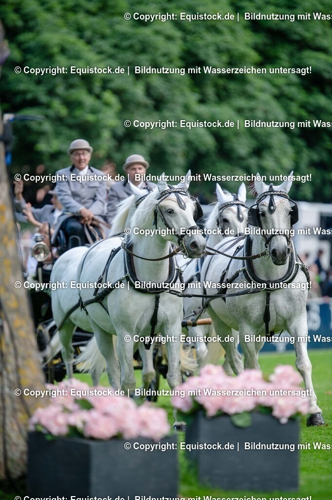 20250606_Lange-Pferdenacht_0106 | Foto: Thomas Hartig
