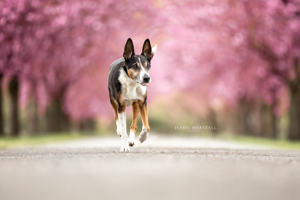 IM_26 | Isabel Marstall Fotografie - Realisiert mit Pictrs.com