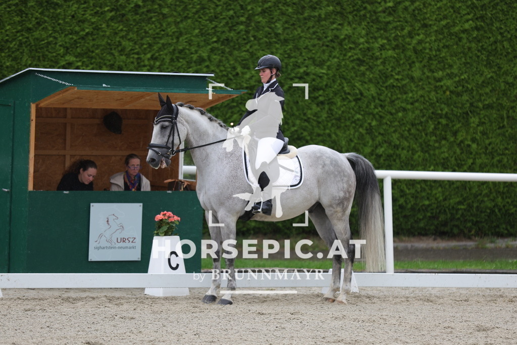 0P6A9786 | Willkommen bei Brunnmayr - Design & Fotografie – Ihrem Spezialisten für Reitturniere und Pferdeveranstaltungen in Oberösterreich, Salzburg und Bayern! Seit über 17 Jahren sind wir leidenschaftlich dabei.