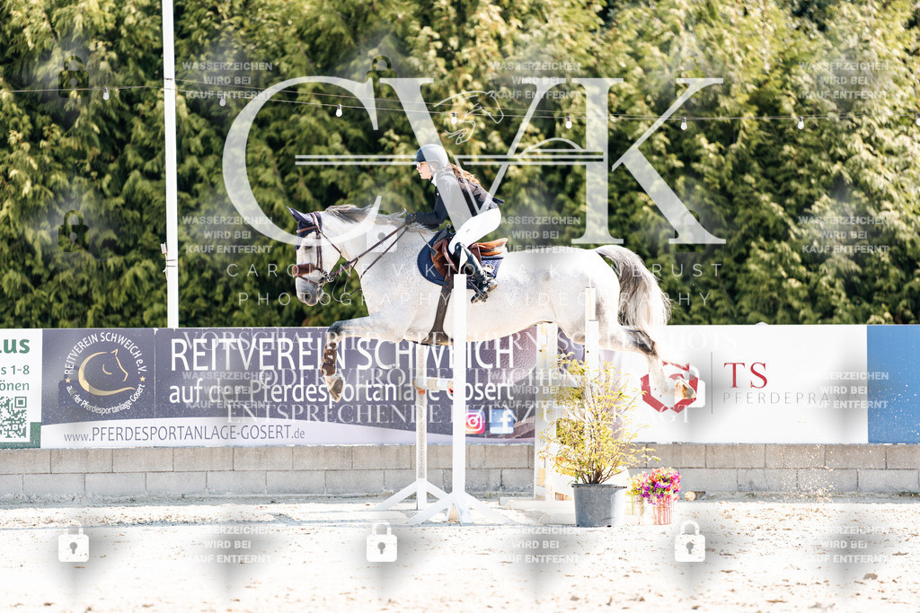 CK902616 | Turnierfotografie Pferdefotografie Trier Rheinland-Pfalz Pferdesport Reitsport Tierfotografie Sportfotografie Pferdevideo Pferdevideografie Equestrianvideography equestrianphotography  - Realisiert mit Pictrs.com