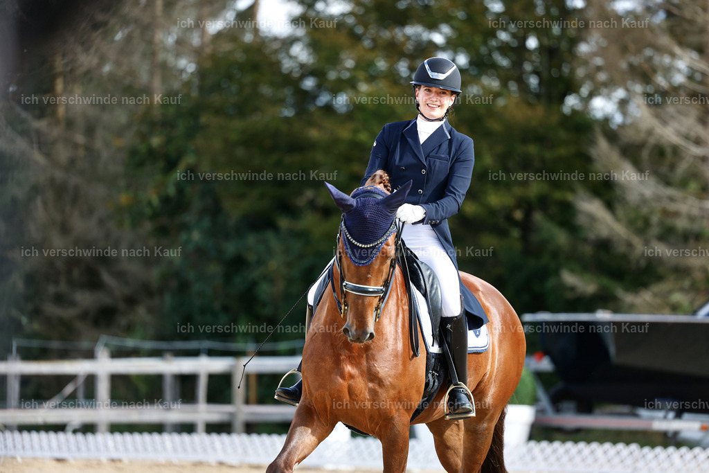 6-143-AMATUER-DRESSUR S_  -StoibPH-3424 | working equitationturnier fotograf videograf stoibphotography marixx film working equitation deutschland reitsport turnierfotografie eventfotografie equestrian events
