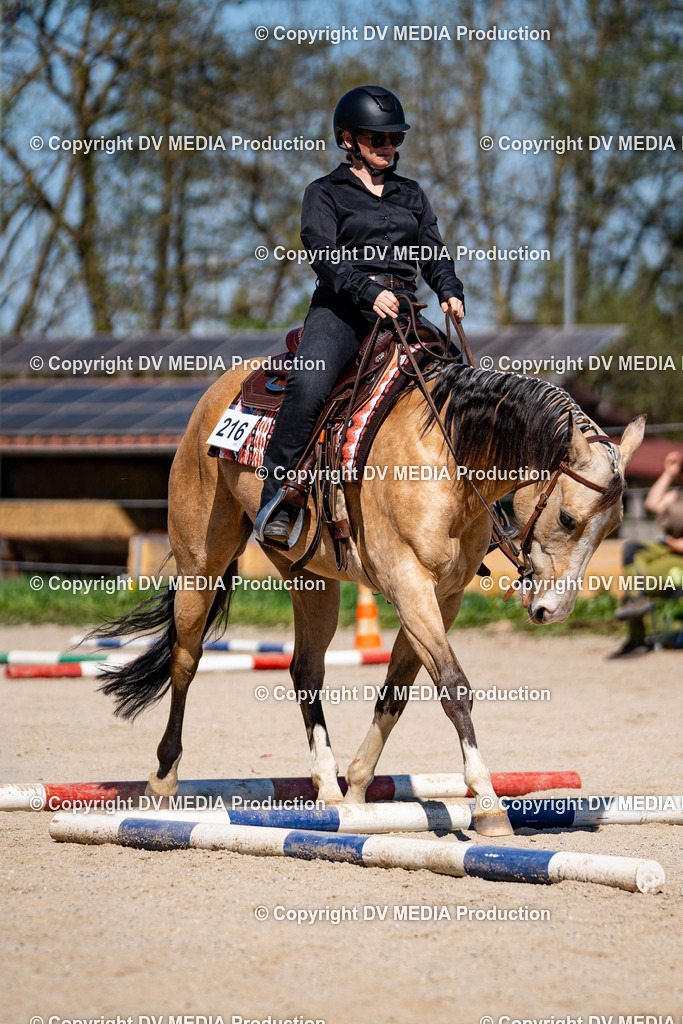 Balingen Tag 1-943 | dv-media-shop - Realisiert mit Pictrs.com