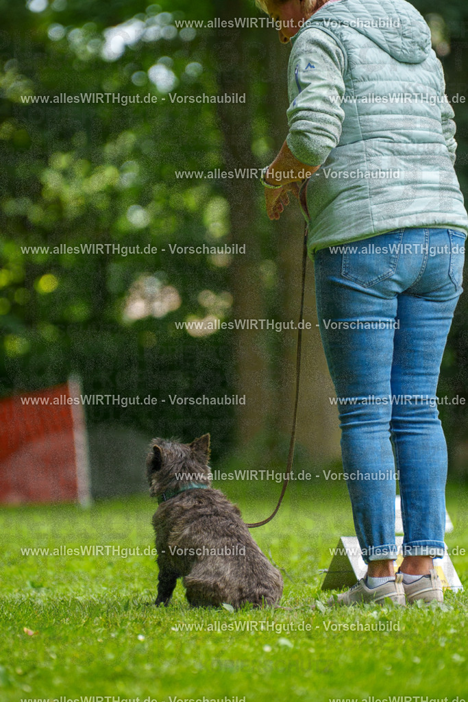 @allesWIRTHgut_Tierfotografie - www.allesWIRTHgut.de - 7R504499 | Professionelle Tierfotografie in Mönchengladbach von Daniel Wirth (allesWIRTHgut). Liebevolle & natürliche Bilder von Hunden & Katzen für unvergessliche Erinnerungen.