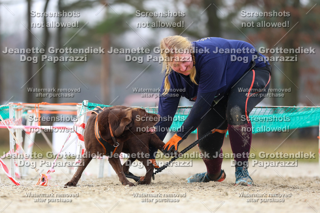 Dog Paparazzi - Strongdog North Mrz26-4020 | Dog Paparazzi Jeanette Grottendiek Fotografie & Videografie - Realisiert mit Pictrs.com