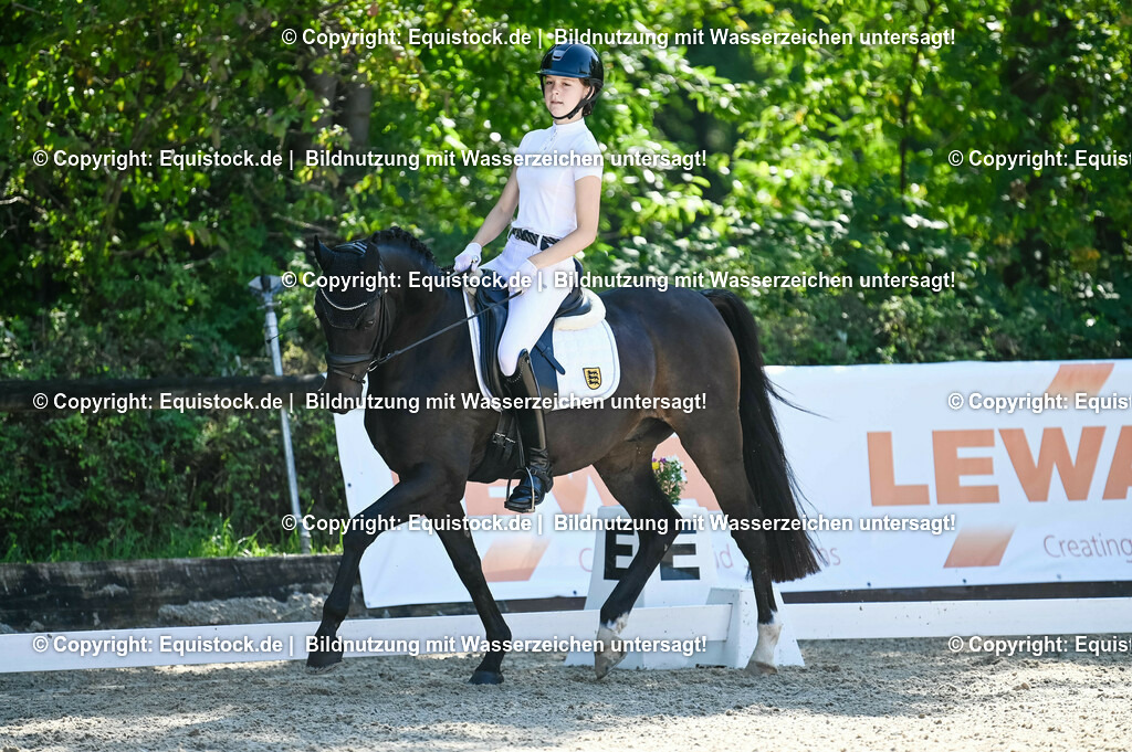 20230908_06_Dressur-L-Trense_0609 | equistock