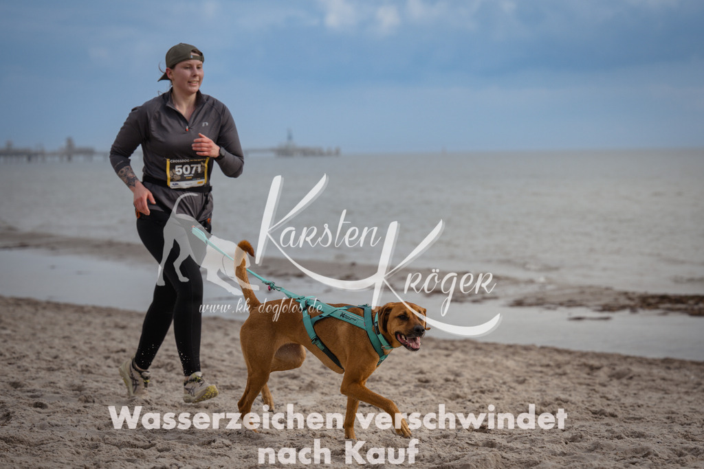 1223_ZZ96369 | kk-dogfotos