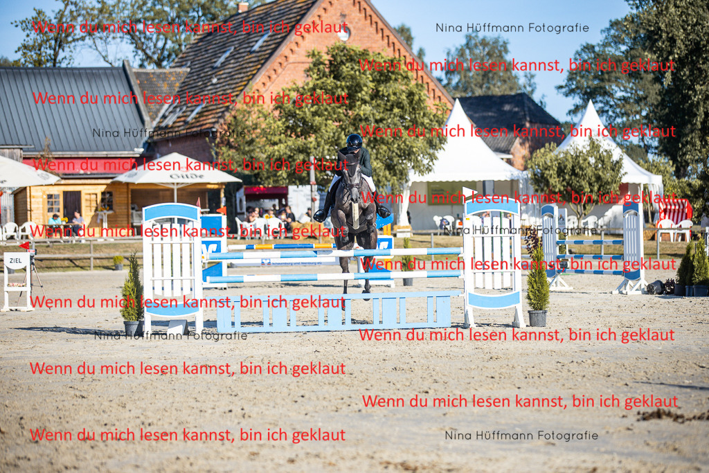BK1A6153 | Turnierbilder Turnierfotos Nina Hüffmann Turnierfotografie Pferdefotografie Tierzeichnung Haustierzeichnung Pferdezeichnung Hundezeichnung Videograf  - Realisiert mit Pictrs.com