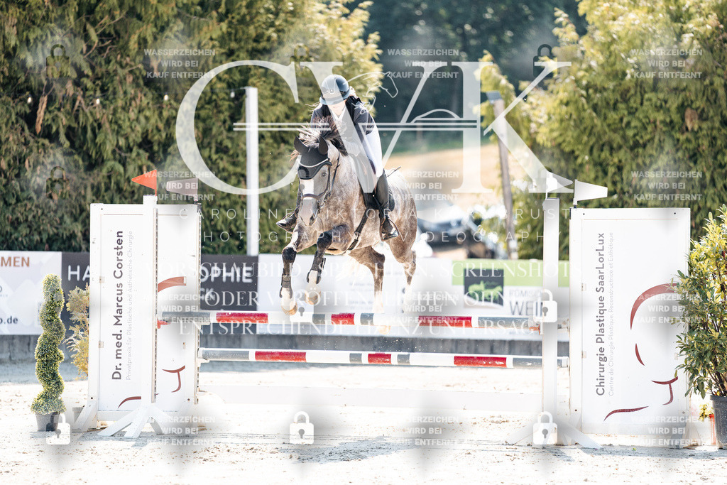 CK908550 | Turnierfotografie Pferdefotografie Trier Rheinland-Pfalz Pferdesport Reitsport Tierfotografie Sportfotografie Pferdevideo Pferdevideografie Equestrianvideography equestrianphotography  - Realisiert mit Pictrs.com