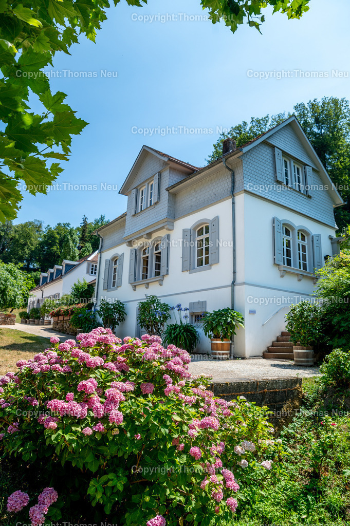 DSC_6095 | Der Staatspark Fürstenlager in Bensheim Auerbach, an der hessischen Bergstraße- ist ein wunderschöner Landschaftspark nach englischen Vorbild. Es war die Sommerresidenz der Darmstädter Fürstenfamilie die hier das "einfache Landleben" genossen. Zu jeder Jahreszeit kann man das Fürstenlager als Ausflugsziel empfehlen. Im Herrenhaus ist eine Gastronomie untergebracht. Im Sommer findet auf der Bühne vor der großen Wiese ein Opern-Air statt, 