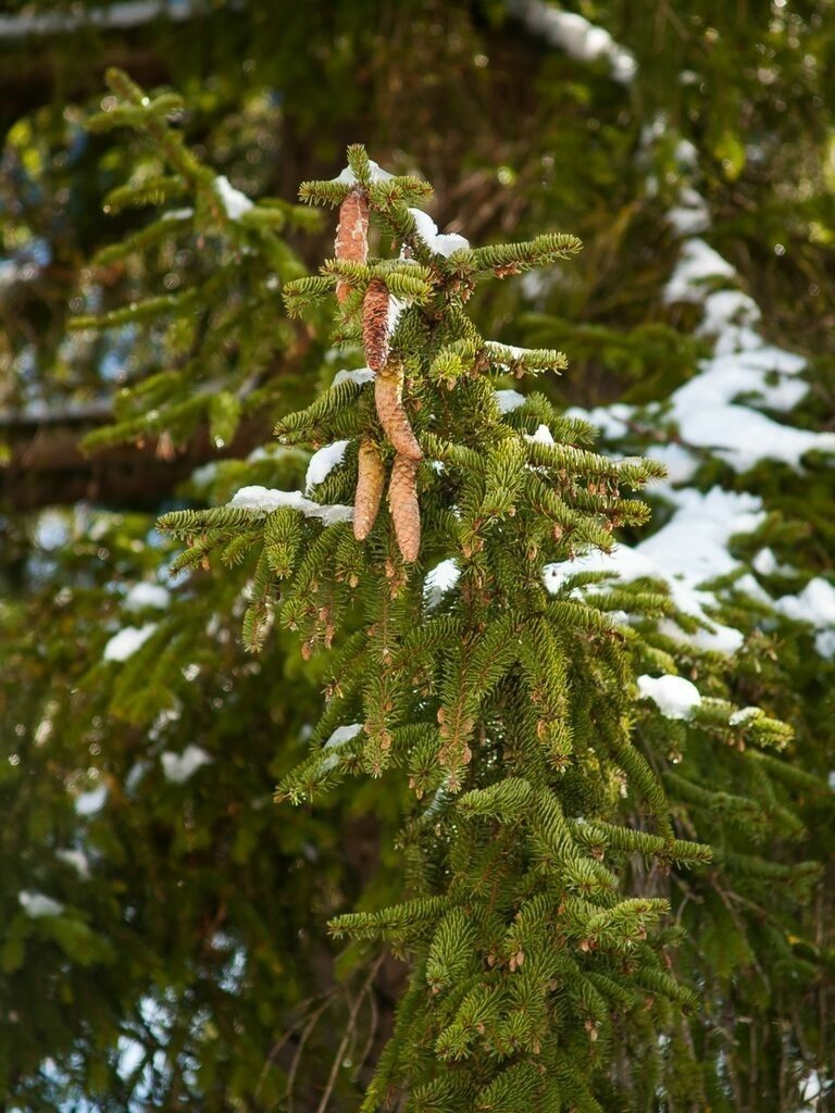 PSX_20221214_231556 | mtkfoto_ - Realisiert mit Pictrs.com