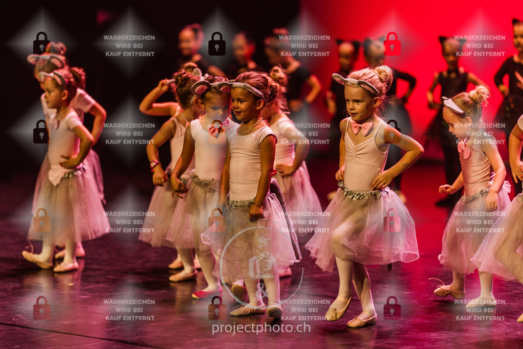 EXPORT_FULL-8601 | projectphoto - Realisiert mit Pictrs.com