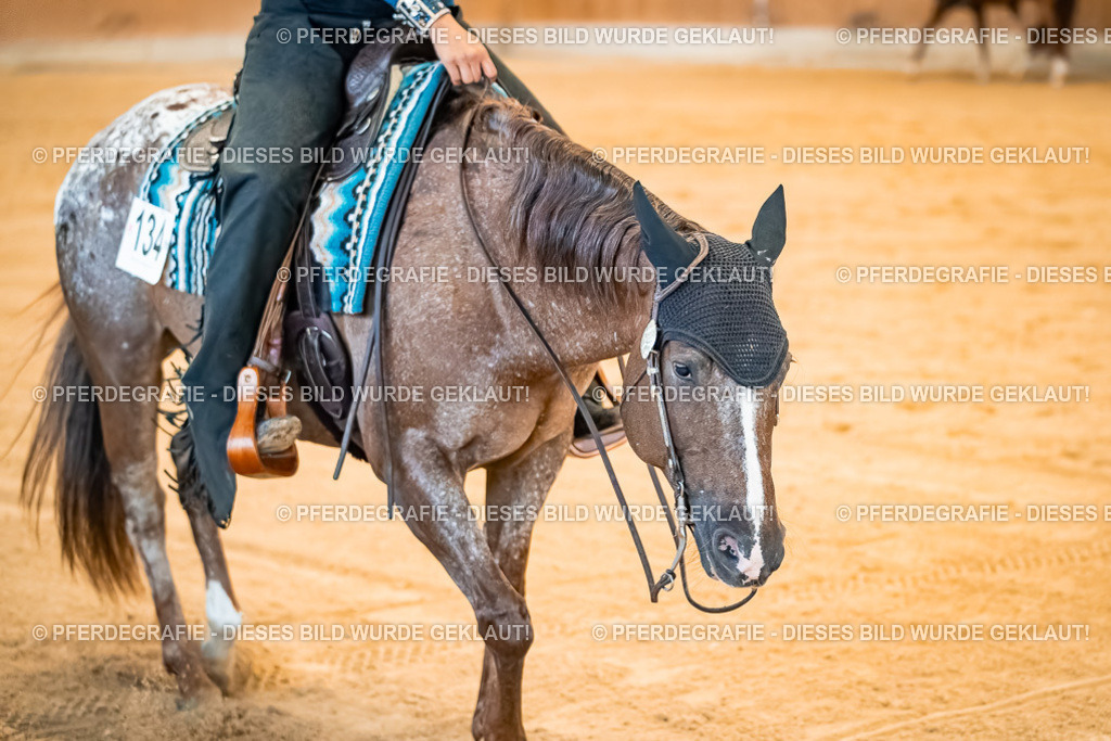 DSC09971 | Pferdegrafie