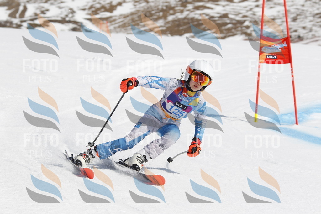 _U3G0793 | holidayphoto