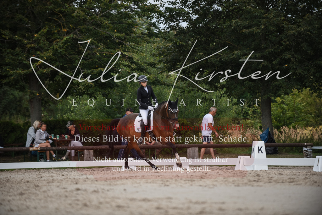 DSC_8541 | Pferde- und Turnierfotografie in Westsachsen. Pferdeportraits, Auftragszeichnungen und intuitive Kunst.