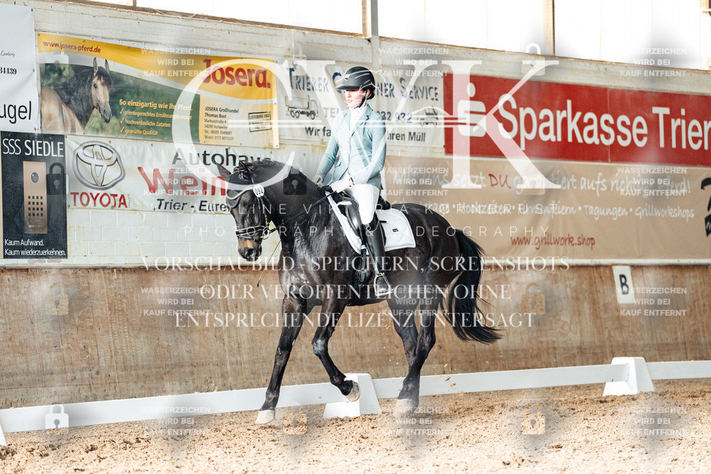 CK903234 | Turnierfotografie Pferdefotografie Trier Rheinland-Pfalz Pferdesport Reitsport Tierfotografie Sportfotografie Pferdevideo Pferdevideografie Equestrianvideography equestrianphotography  - Realisiert mit Pictrs.com