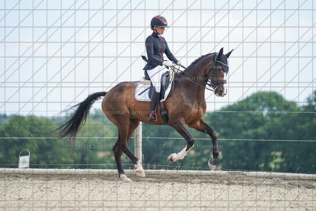 20230826-FAH05998 | Forstinning, 2023, Dressurturnier, Turniersportbilder, Turnierfotografen Bayern, Fotoagentur Herrmann, Reitsportfotografie, Turnierbilder