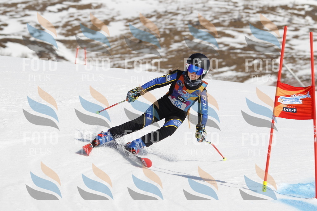 _U3G0089 | holidayphoto