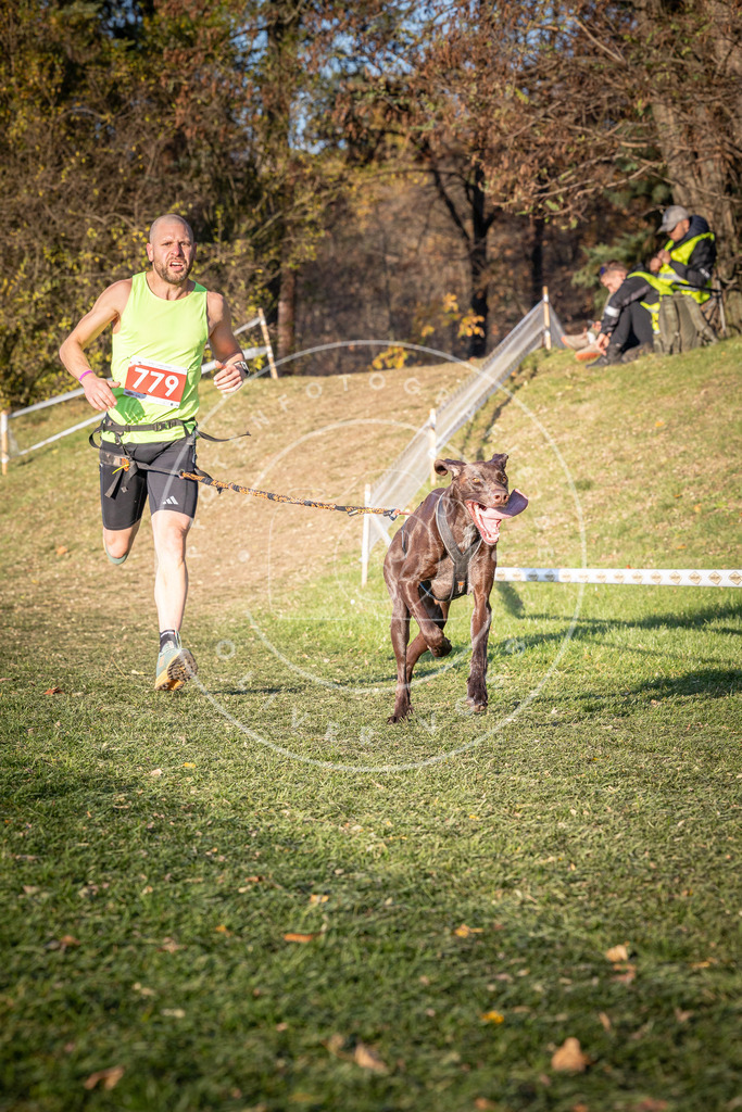 CaniXpix_0L8A0150 | Hundefotografie, Tierfotograf, Pfotenfotografie, Fotoshooting Hund, Hunde Portrait, Hundesport, Hundeportraits, Heideshooting, Hunde, Sportfotograf, Hundefotograf, Turnierhundsport, THS,  - Realisiert mit Pictrs.com