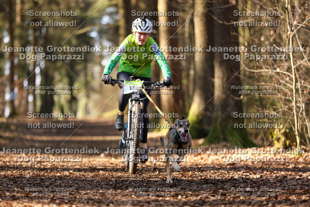 Dog Paparazzi - VCC26-960 | Dog Paparazzi Jeanette Grottendiek Fotografie & Videografie - Realisiert mit Pictrs.com