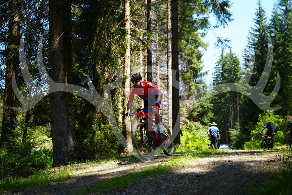 FC101735 | Fotogalerie der Treibjagd im Dunkelwald - Dein MTB Etappenrennen im Erzgebirge - Realisiert mit Pictrs.com