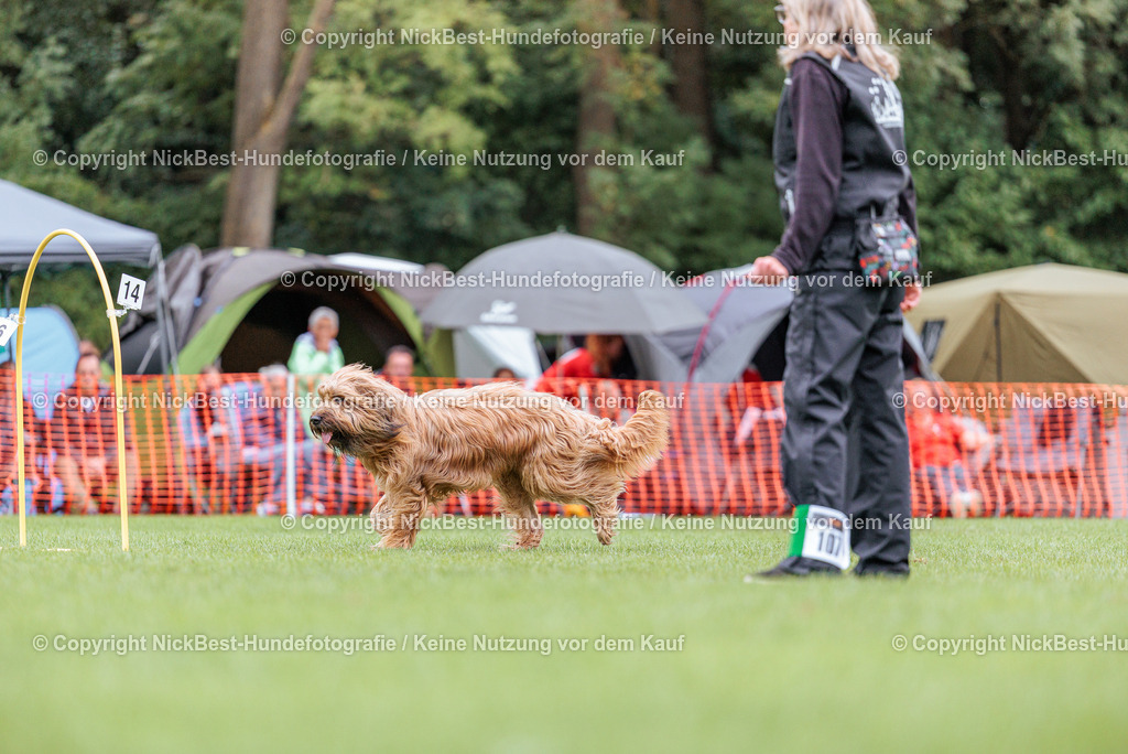 BSP Hoopers-H2 Tag2-2026-Nickbest-Hundefotografie-TuS Komet Arsten e.V.-8580 | Dein Hund! Dein Moment! Deine Erinnerungen! Hundefotografie in Bremen Blumenthal. Ich fange die besonderen Momente deines Vierbeiners ein – ob Indoor mit Blitzanlage oder in der freien Natur. Sicher dir dein Moment und dein Termin für eure Erinnerungen.