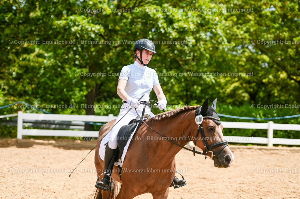 20230715_05_Dressurprüfung Kl.A++_0239 | equistock