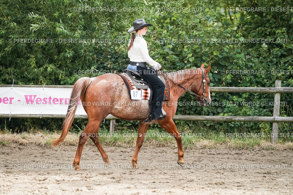 DSC04388 | Pferdegrafie