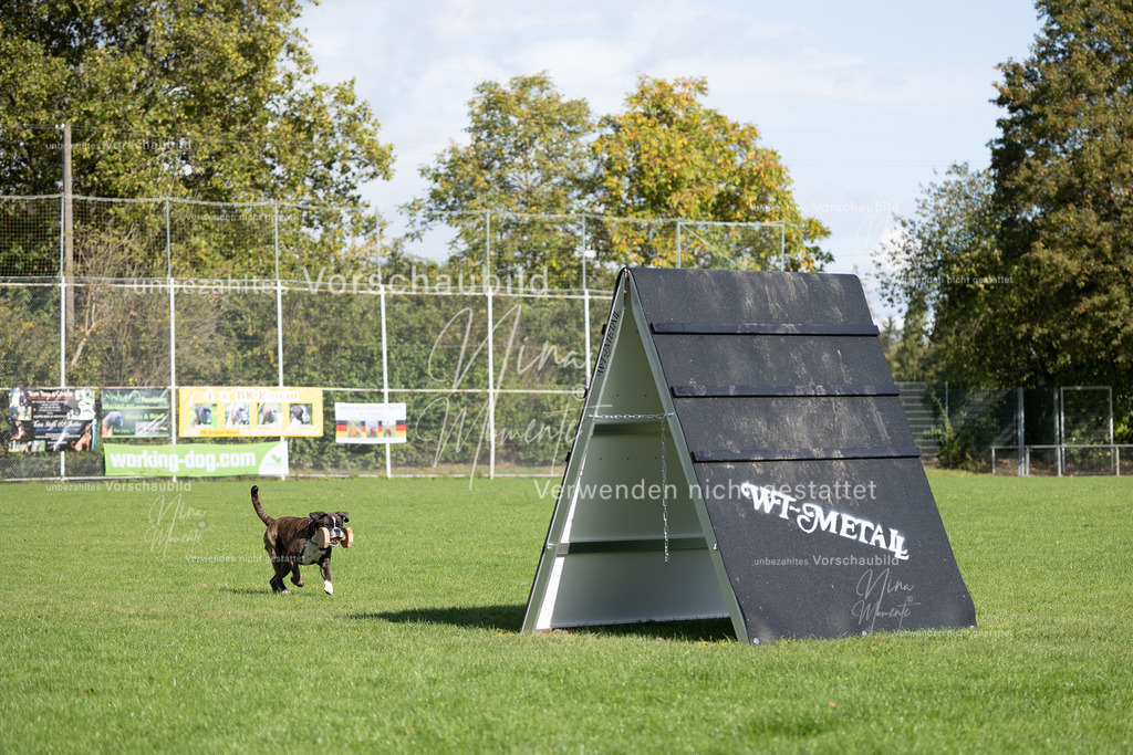 _16A6996 | Einzigartige Fotos von Hunden & Menschen –Actionfotos, Portraits, Vereinsaufnahmen & Paarshootings – authentisch, lebendig & mit Herz.