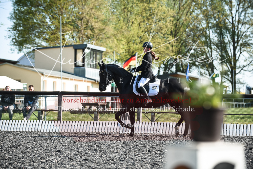 DSC_8339 | Pferde- und Turnierfotografie in Westsachsen. Pferdeportraits, Auftragszeichnungen und intuitive Kunst.