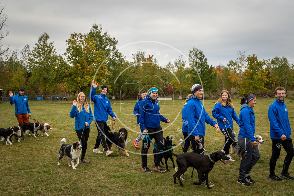Pfotenfotografie_0L8A0301 | Hundefotografie, Tierfotograf, Pfotenfotografie, Fotoshooting Hund, Hunde Portrait, Hundesport, Hundeportraits, Heideshooting, Hunde, Sportfotograf, Hundefotograf, Turnierhundsport, THS,  - Realisiert mit Pictrs.com