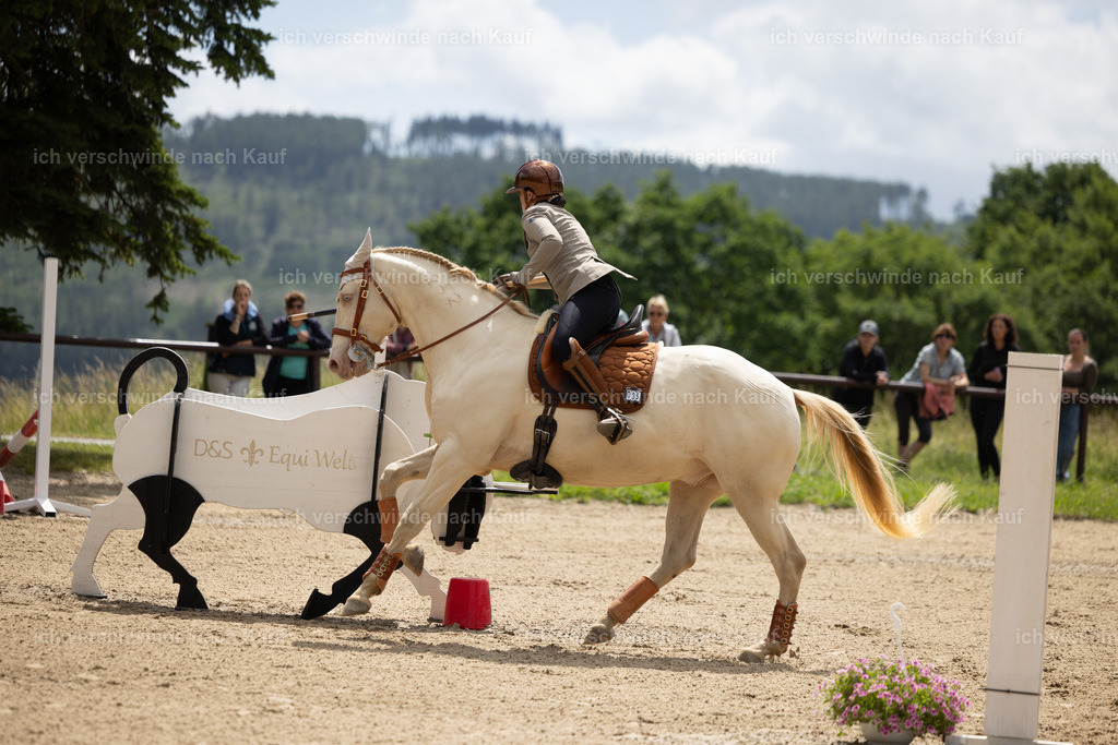 Masterclass_stoibphotography_C2_C7980.CR3 | working equitationturnier fotograf videograf stoibphotography marixx film working equitation deutschland reitsport turnierfotografie eventfotografie equestrian events