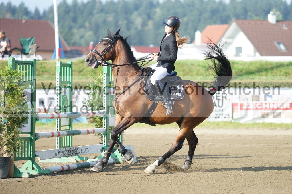 DSC02743 | equestrian-live-com