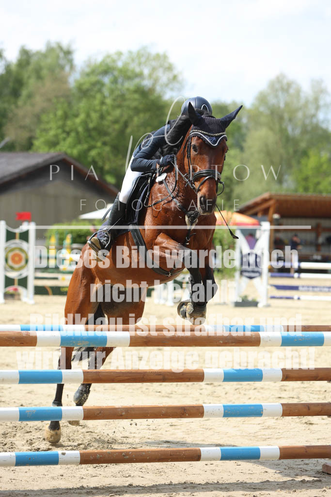 IMGM5787 | pl-fotografie