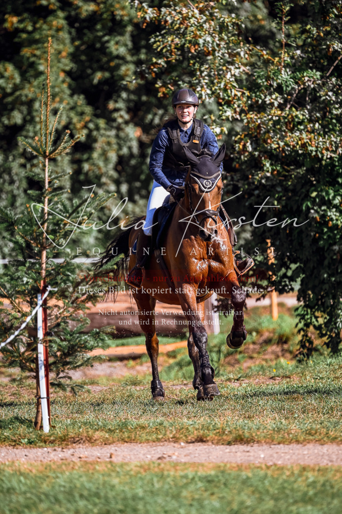 DSC_0570 | Pferde- und Turnierfotografie in Westsachsen. Pferdeportraits, Auftragszeichnungen und intuitive Kunst.