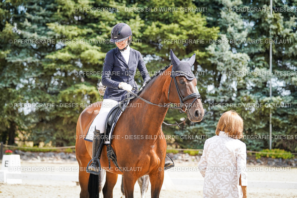 DSC02275 | Pferdegrafie