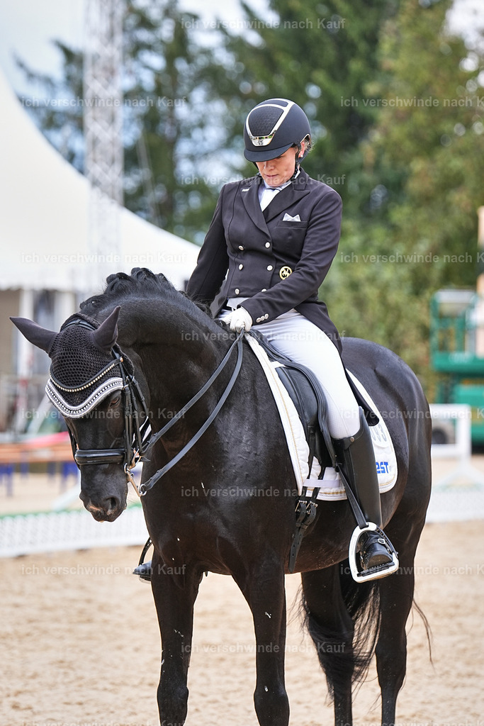 07-093-DRESSUR  S___  -Marixx-5144 | working equitationturnier fotograf videograf stoibphotography marixx film working equitation deutschland reitsport turnierfotografie eventfotografie equestrian events