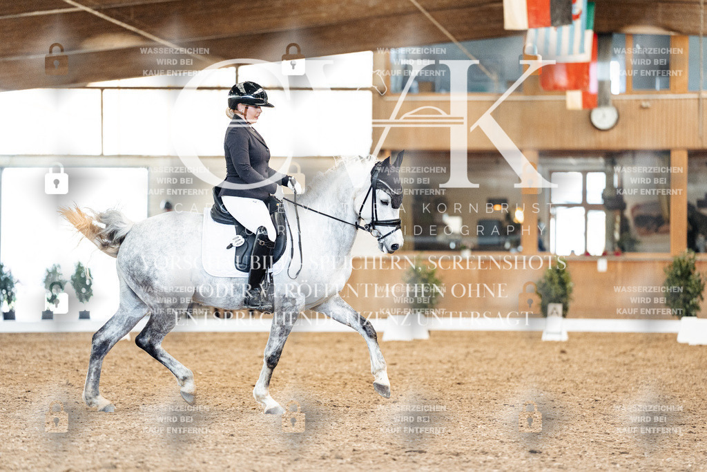 CK909657 | Turnierfotografie Pferdefotografie Trier Rheinland-Pfalz Pferdesport Reitsport Tierfotografie Sportfotografie Pferdevideo Pferdevideografie Equestrianvideography equestrianphotography  - Realisiert mit Pictrs.com