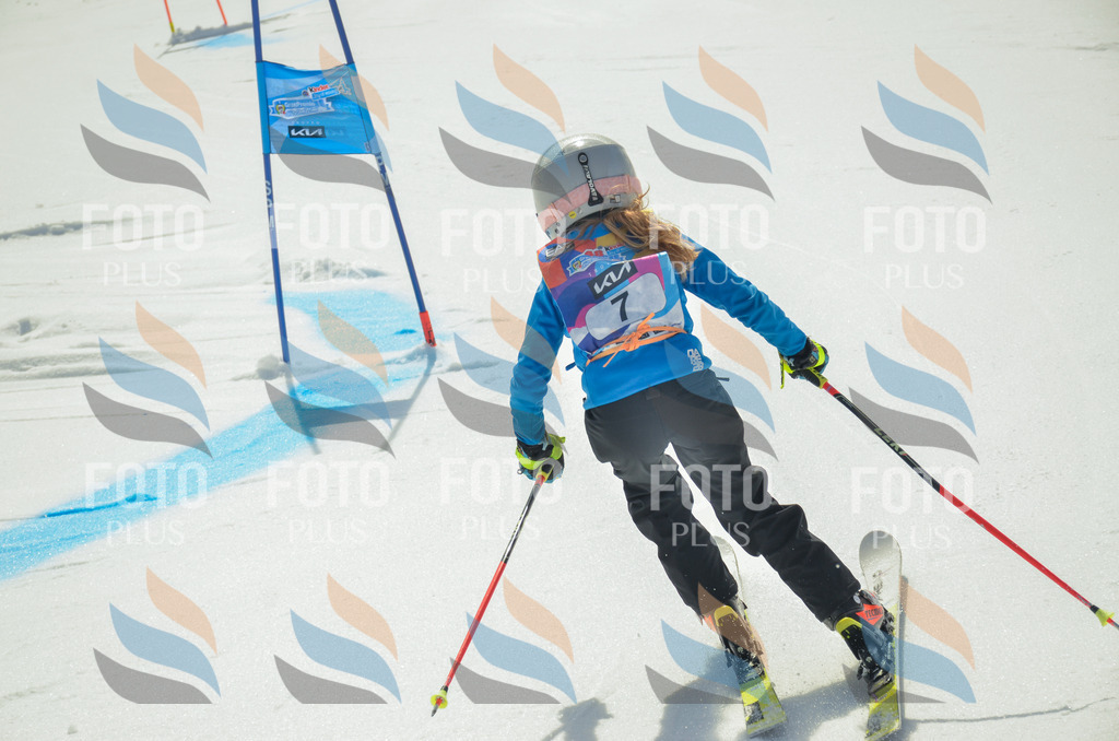 _ELE4495 | holidayphoto