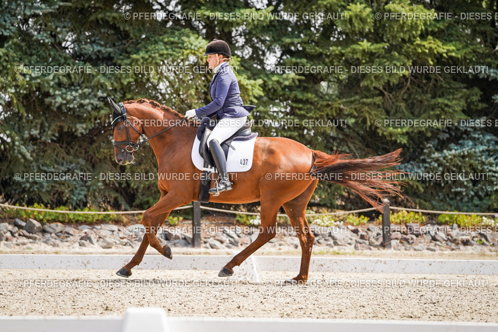 DSC00570 | Pferdegrafie