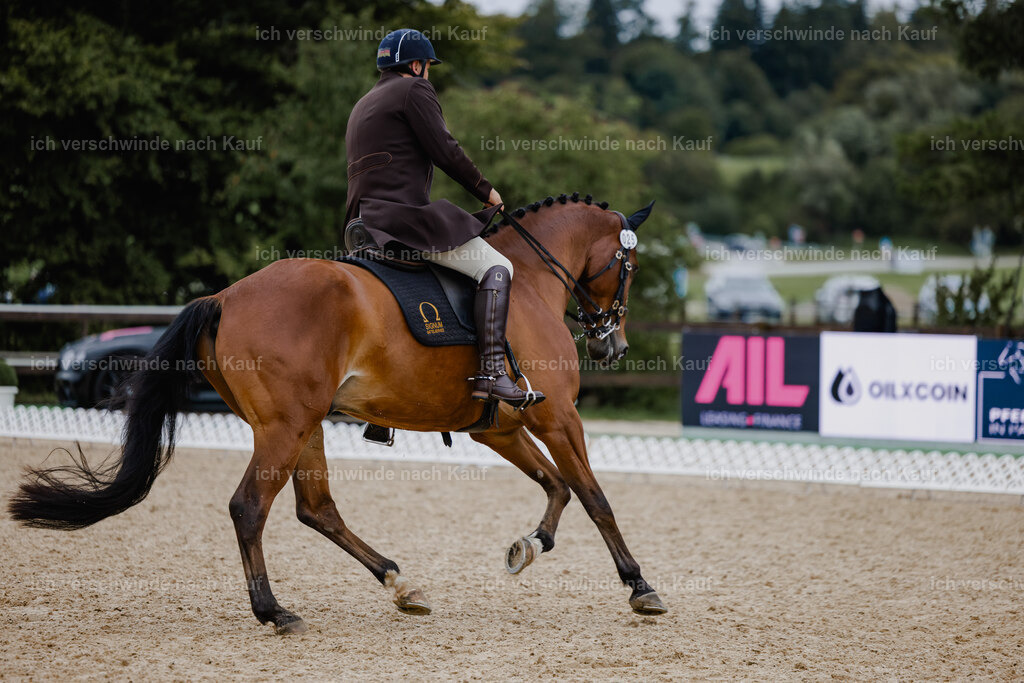 Gernot25_FHC2025-25646 | working equitationturnier fotograf videograf stoibphotography marixx film working equitation deutschland reitsport turnierfotografie eventfotografie equestrian events