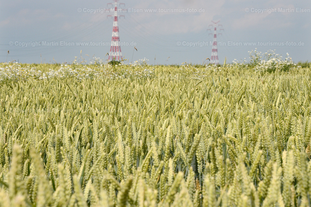 Korn Roggen_ ELS_1984 | Fotos aus den Touristenorten aus Norddeutschland. - Realisiert mit Pictrs.com