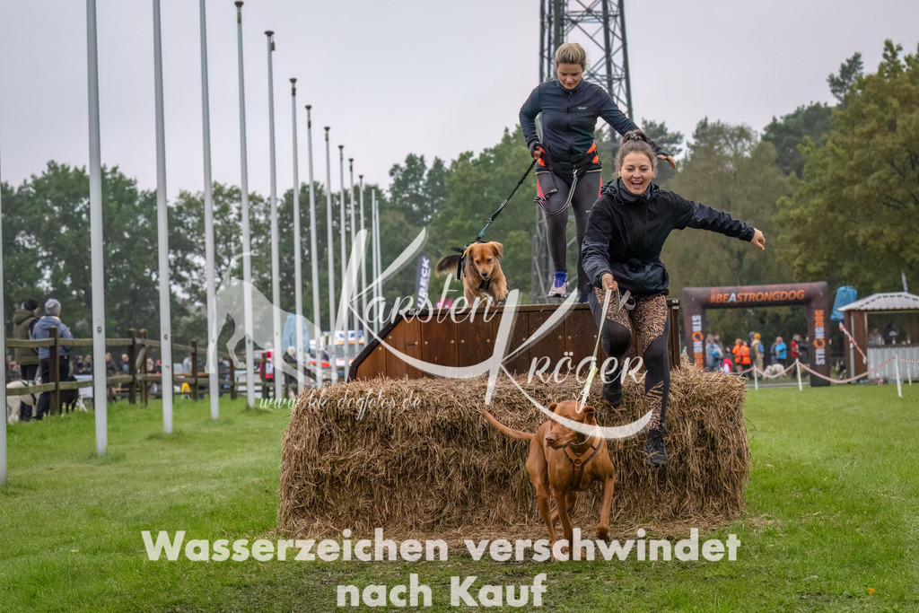 1225--9 | kk-dogfotos