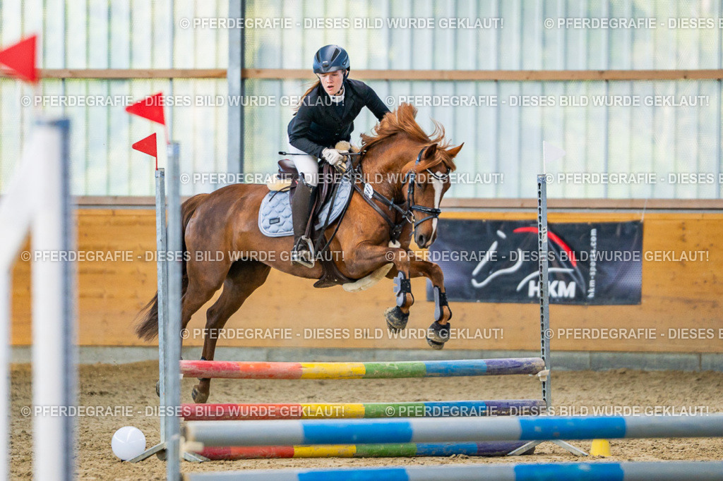 DSC01081 | Pferdegrafie